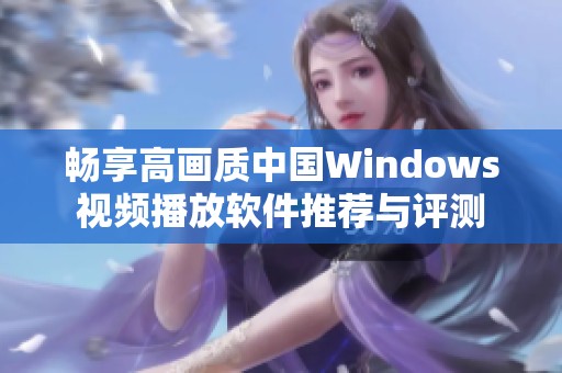 畅享高画质中国Windows视频播放软件推荐与评测