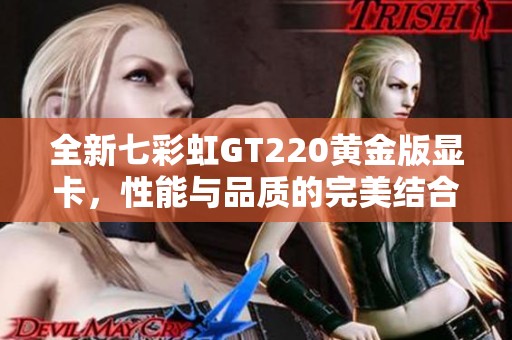 全新七彩虹GT220黄金版显卡，性能与品质的完美结合