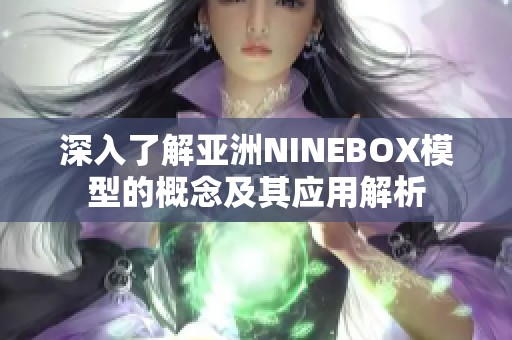 深入了解亚洲NINEBOX模型的概念及其应用解析