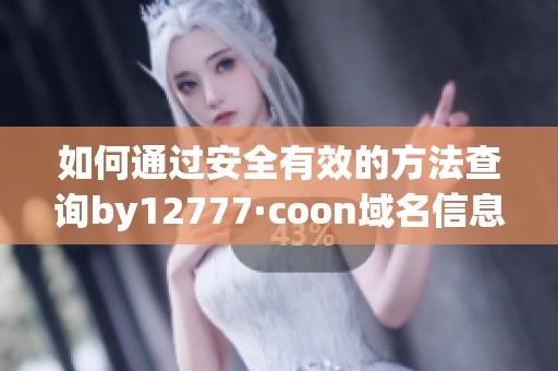 如何通过安全有效的方法查询by12777·coon域名信息