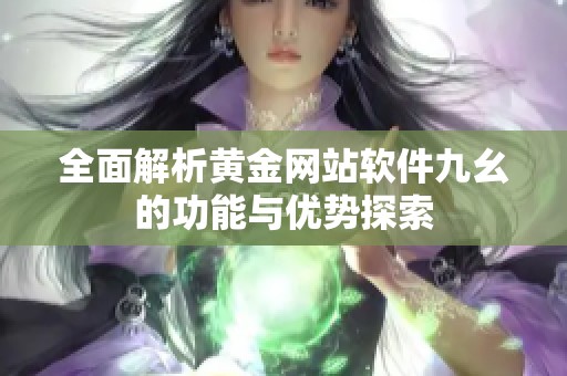 全面解析黄金网站软件九幺的功能与优势探索