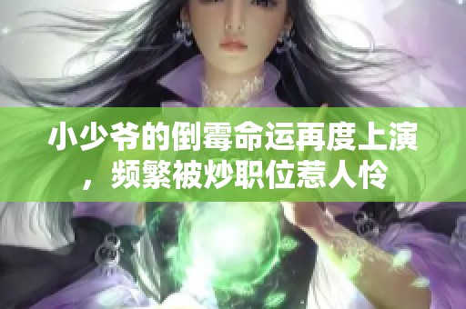 小少爷的倒霉命运再度上演，频繁被炒职位惹人怜