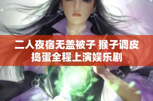 二人夜宿无盖被子 猴子调皮捣蛋全程上演娱乐剧