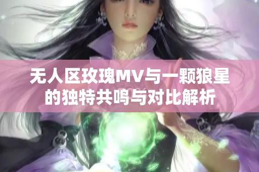 无人区玫瑰MV与一颗狼星的独特共鸣与对比解析