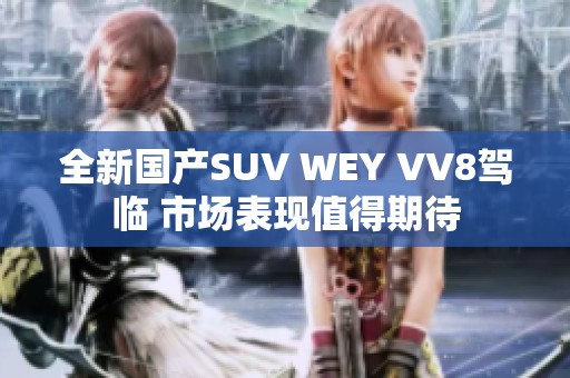 全新国产SUV WEY VV8驾临 市场表现值得期待