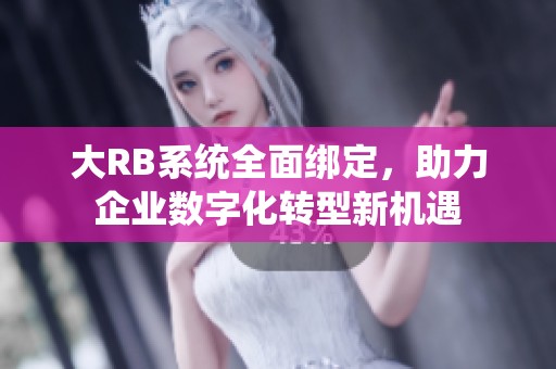 大RB系统全面绑定，助力企业数字化转型新机遇