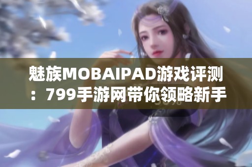 魅族MOBAIPAD游戏评测：799手游网带你领略新手体验