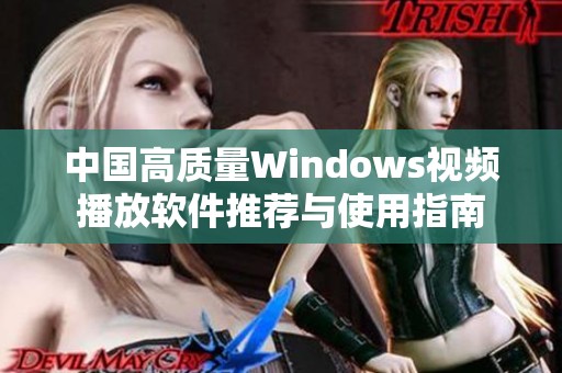 中国高质量Windows视频播放软件推荐与使用指南