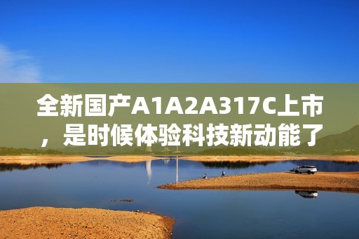 全新国产A1A2A317C上市，是时候体验科技新动能了