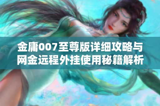 金庸007至尊版详细攻略与网金远程外挂使用秘籍解析