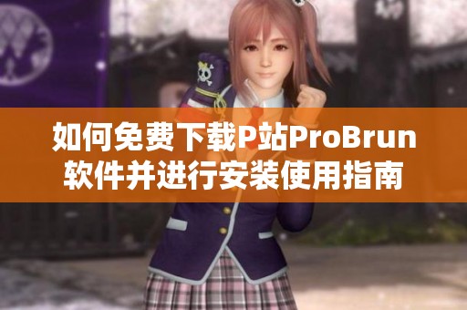 如何免费下载P站ProBrun软件并进行安装使用指南