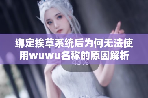 绑定挨草系统后为何无法使用wuwu名称的原因解析