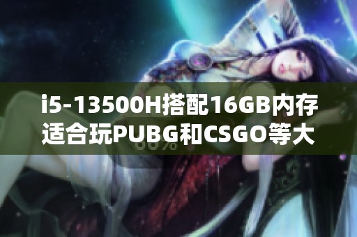 i5-13500H搭配16GB内存适合玩PUBG和CSGO等大型游戏吗