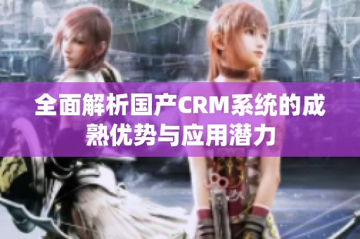 全面解析国产CRM系统的成熟优势与应用潜力