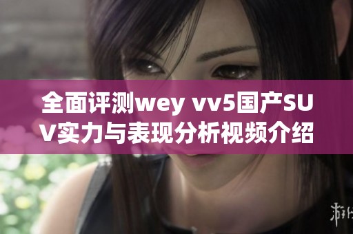 全面评测wey vv5国产SUV实力与表现分析视频介绍