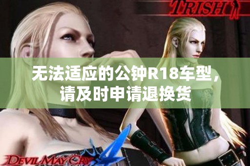 无法适应的公钟R18车型，请及时申请退换货