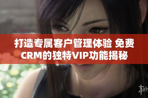 打造专属客户管理体验 免费CRM的独特VIP功能揭秘