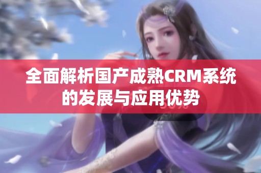 全面解析国产成熟CRM系统的发展与应用优势