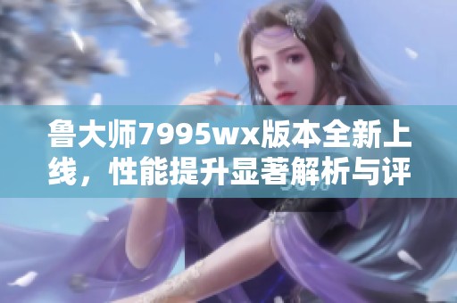 鲁大师7995wx版本全新上线，性能提升显著解析与评测