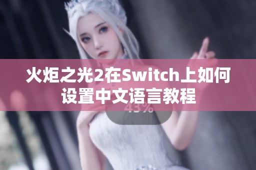 火炬之光2在Switch上如何设置中文语言教程