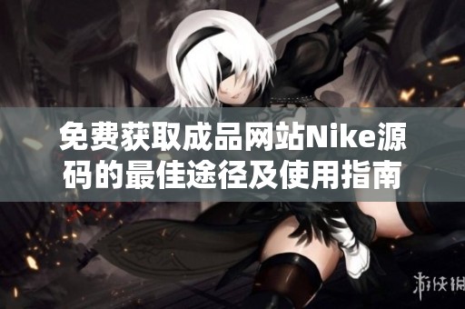 免费获取成品网站Nike源码的最佳途径及使用指南