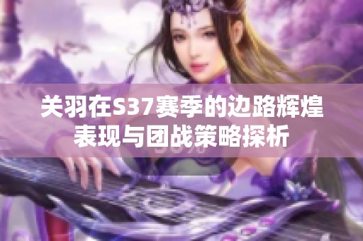 关羽在S37赛季的边路辉煌表现与团战策略探析