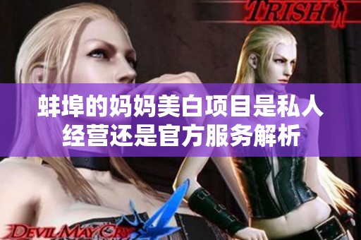 蚌埠的妈妈美白项目是私人经营还是官方服务解析