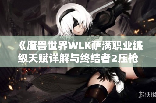 《魔兽世界WLK萨满职业练级天赋详解与终结者2压枪设置攻略》