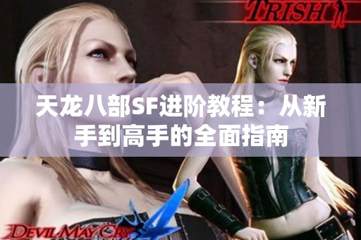 天龙八部SF进阶教程：从新手到高手的全面指南