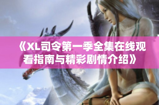 《XL司令第一季全集在线观看指南与精彩剧情介绍》