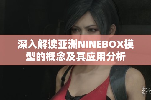 深入解读亚洲NINEBOX模型的概念及其应用分析