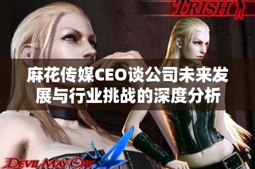 麻花传媒CEO谈公司未来发展与行业挑战的深度分析