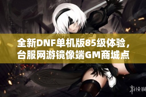 全新DNF单机版85级体验，台服网游镜像端GM商城点卷全新上线