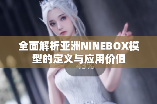 全面解析亚洲NINEBOX模型的定义与应用价值