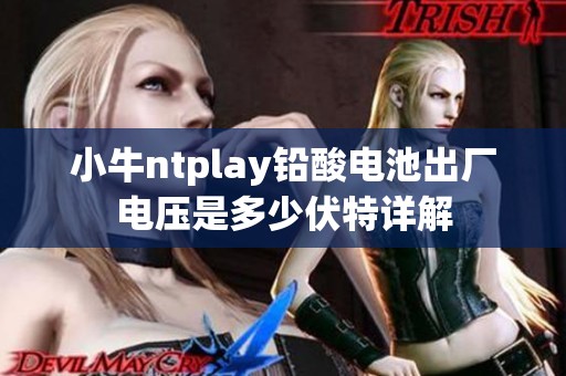 小牛ntplay铅酸电池出厂电压是多少伏特详解