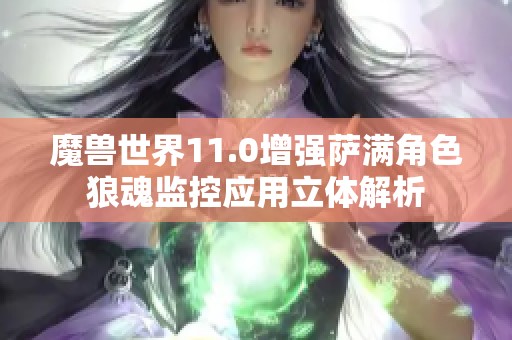 魔兽世界11.0增强萨满角色狼魂监控应用立体解析