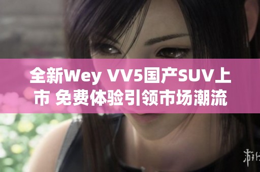 全新Wey VV5国产SUV上市 免费体验引领市场潮流