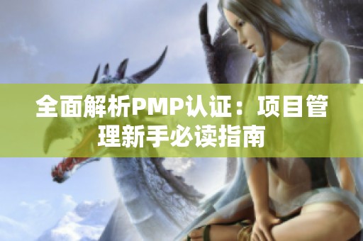 全面解析PMP认证：项目管理新手必读指南