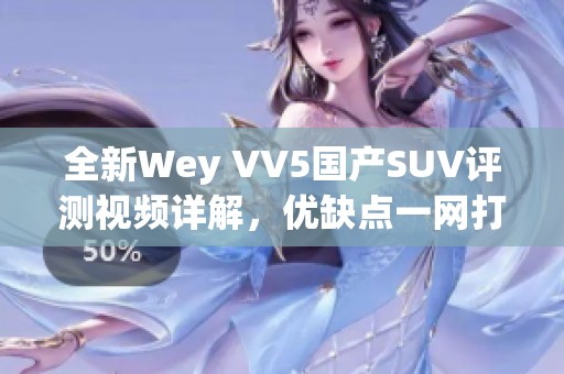 全新Wey VV5国产SUV评测视频详解，优缺点一网打尽