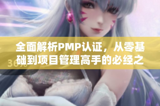 全面解析PMP认证，从零基础到项目管理高手的必经之路