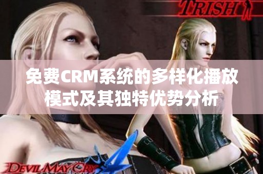 免费CRM系统的多样化播放模式及其独特优势分析