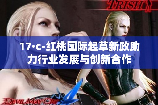 17·c-红桃国际起草新政助力行业发展与创新合作