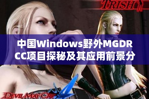 中国Windows野外MGDRCC项目探秘及其应用前景分析