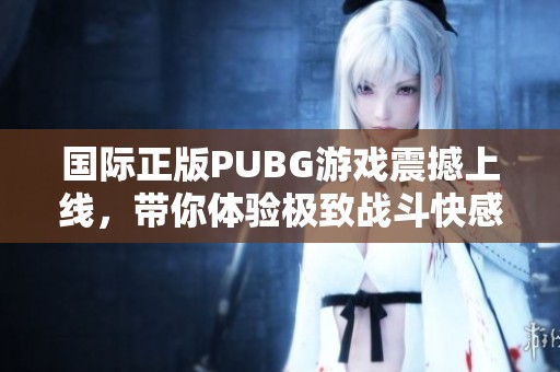 国际正版PUBG游戏震撼上线，带你体验极致战斗快感