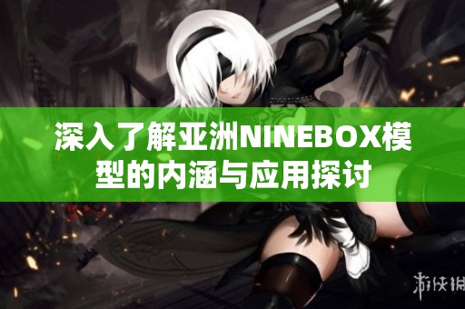 深入了解亚洲NINEBOX模型的内涵与应用探讨