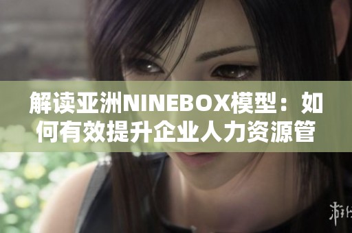 解读亚洲NINEBOX模型：如何有效提升企业人力资源管理