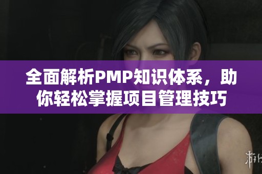 全面解析PMP知识体系，助你轻松掌握项目管理技巧